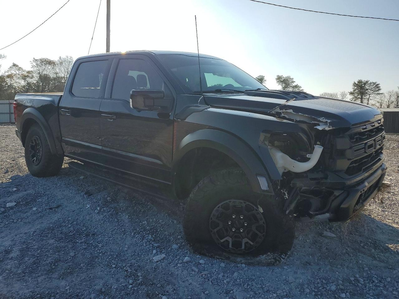 2024 FORD F150 RAPTOR photo 4