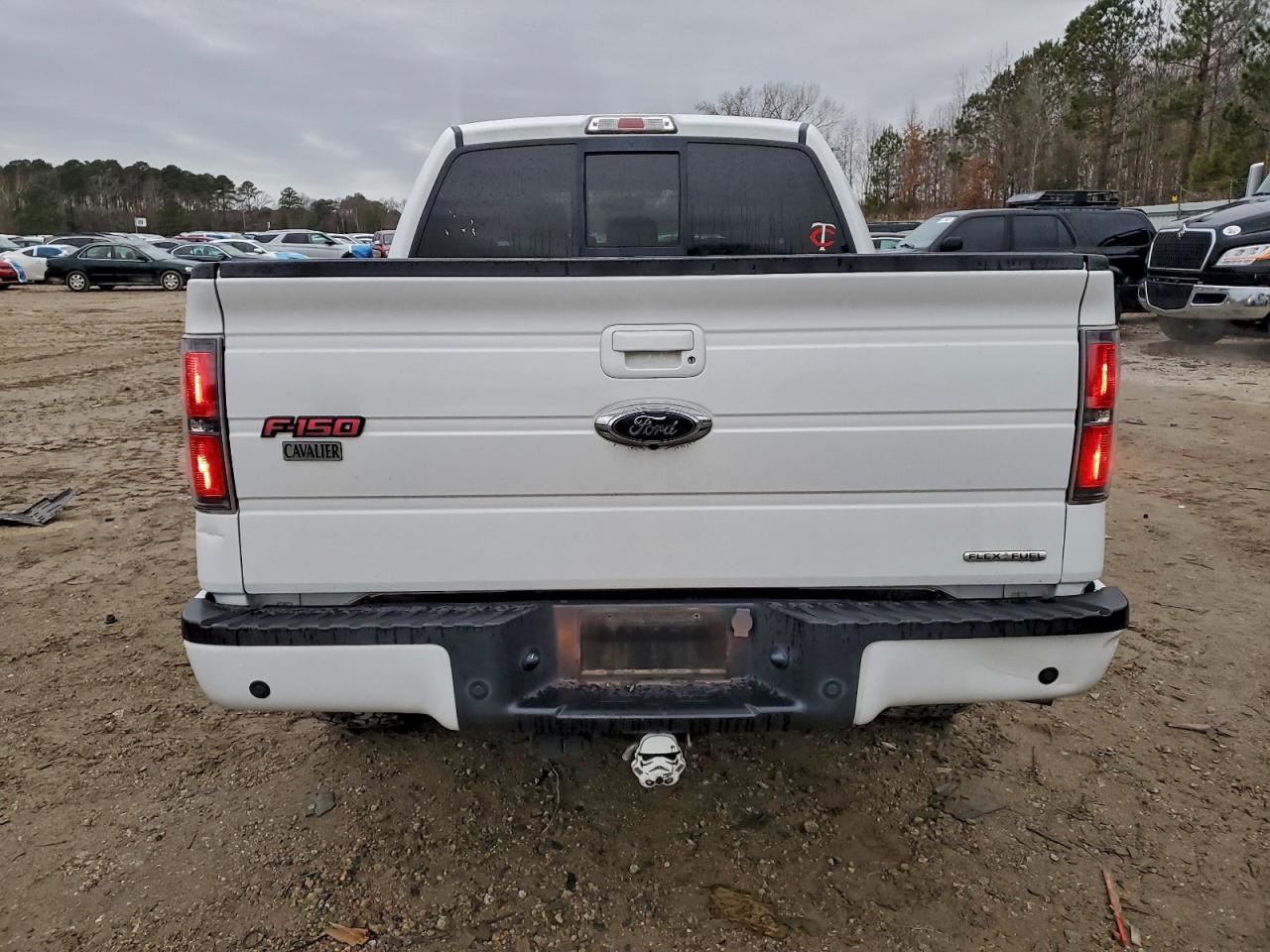 2014 FORD F150 SUPERCREW photo 6