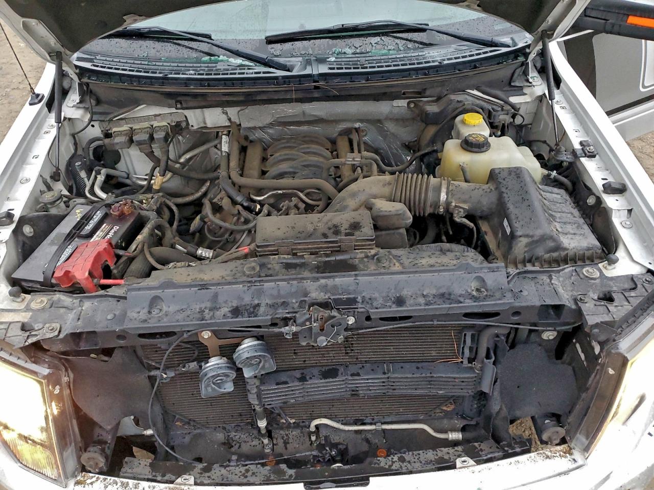 2014 FORD F150 SUPERCREW photo 11