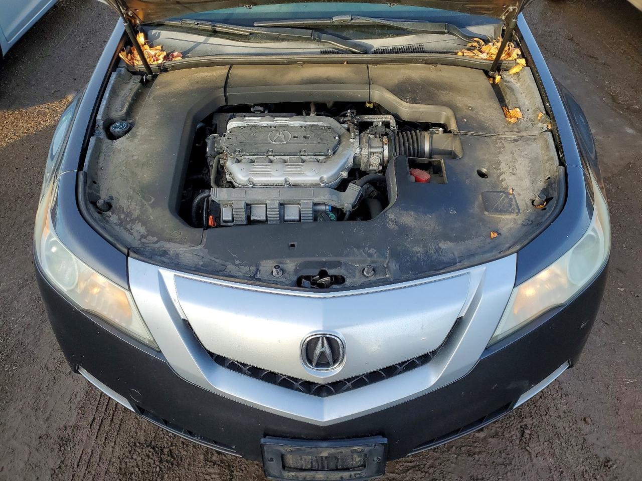 2010 ACURA TL photo 11