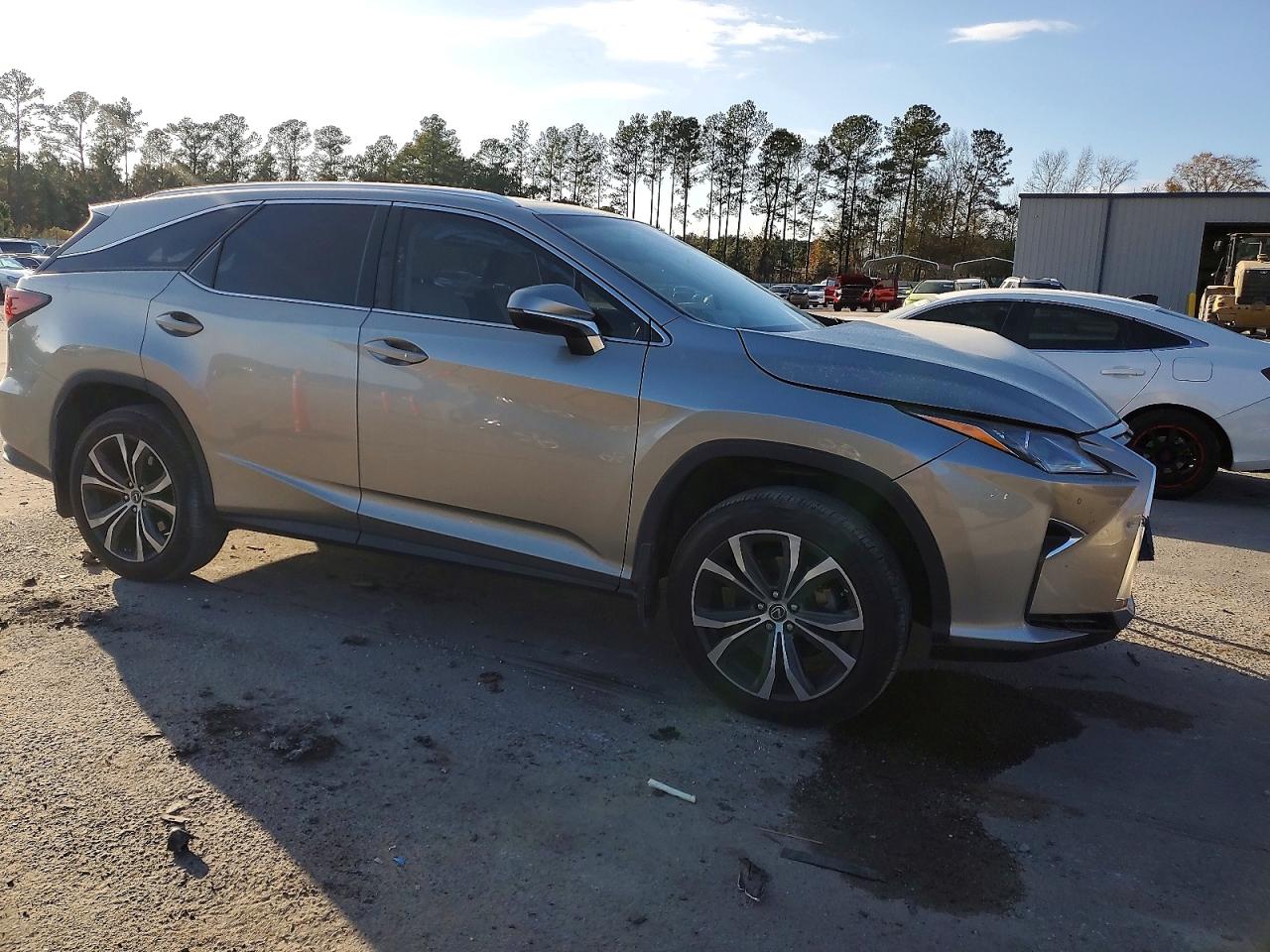 2018 LEXUS RX 350 L photo 4