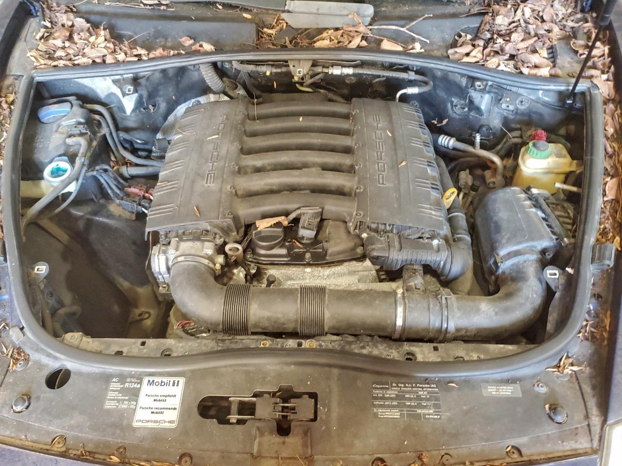 2009 PORSCHE CAYENNE photo 11