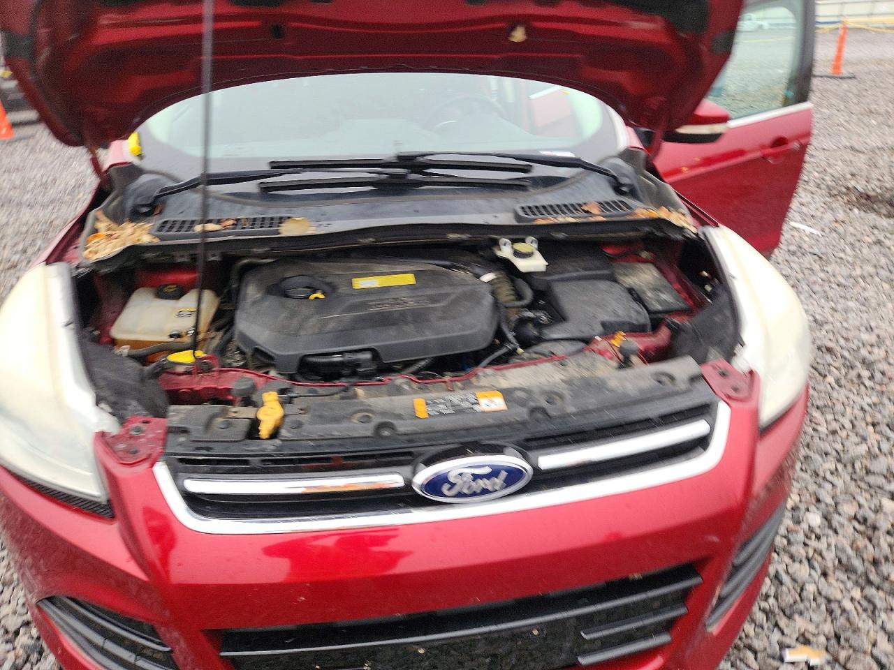 2013 FORD ESCAPE SEL photo 11