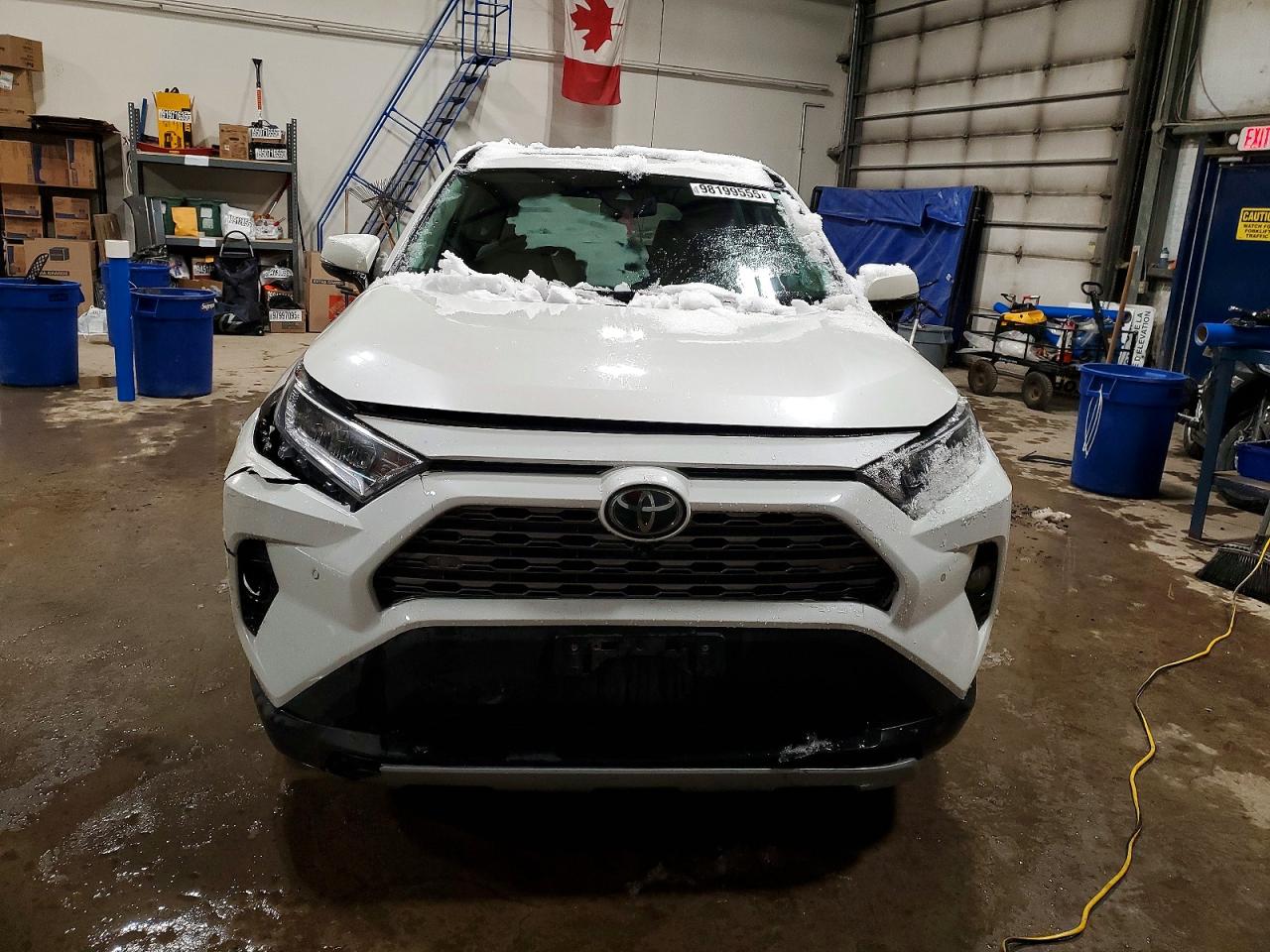 2019 TOYOTA RAV4 LIMITED photo 5