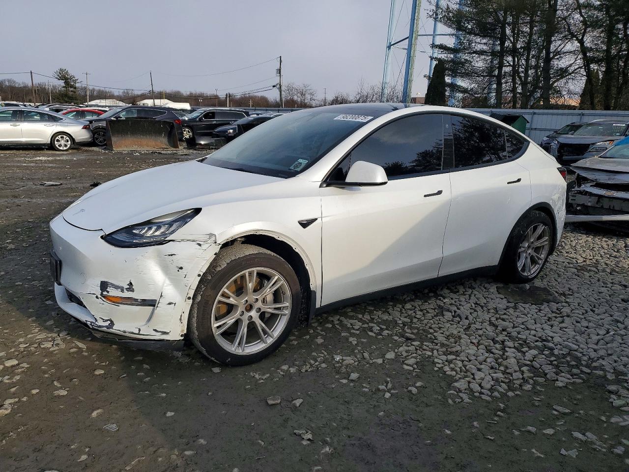 2021 TESLA MODEL Y
