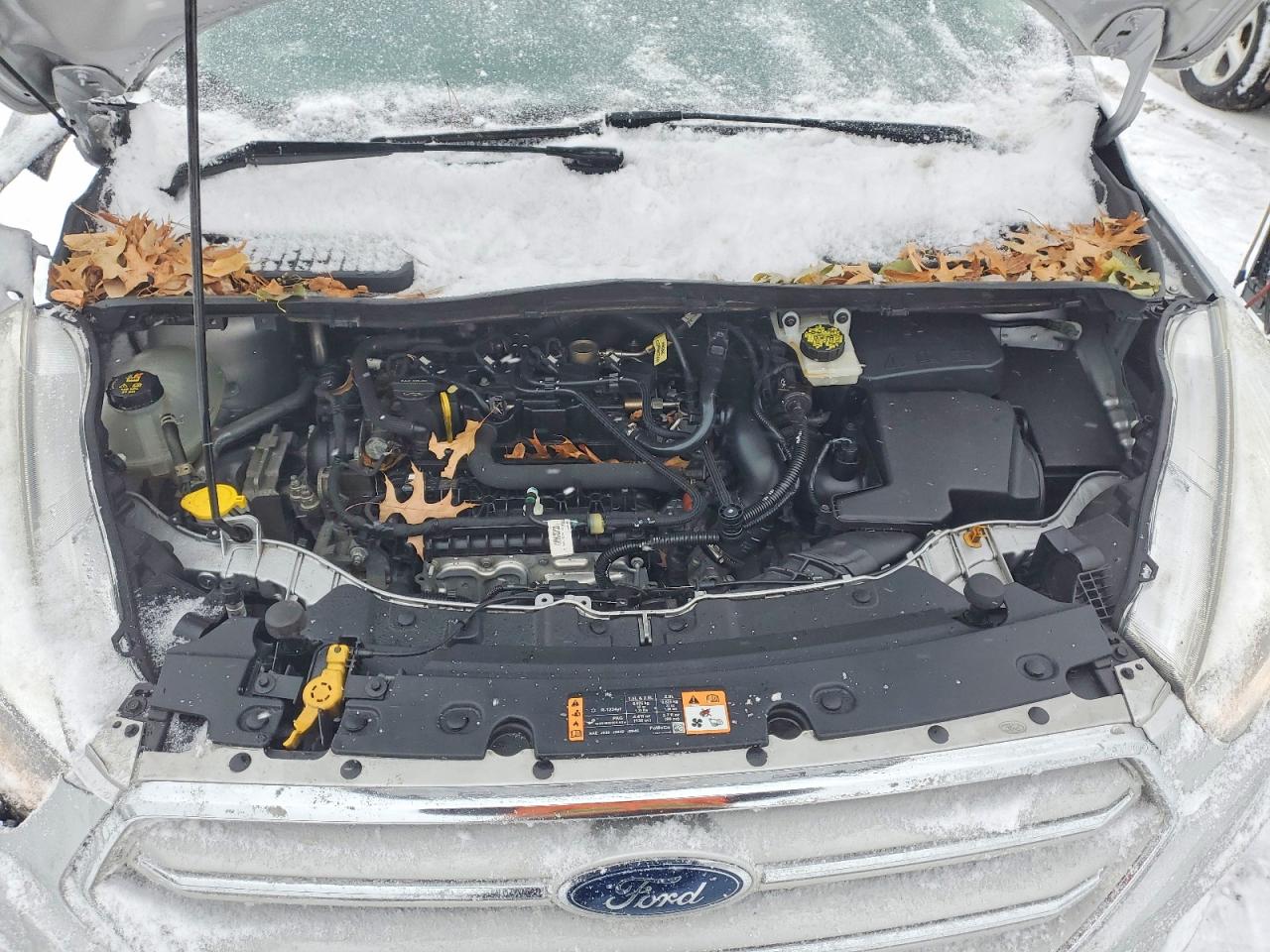 2019 FORD ESCAPE SE photo 11