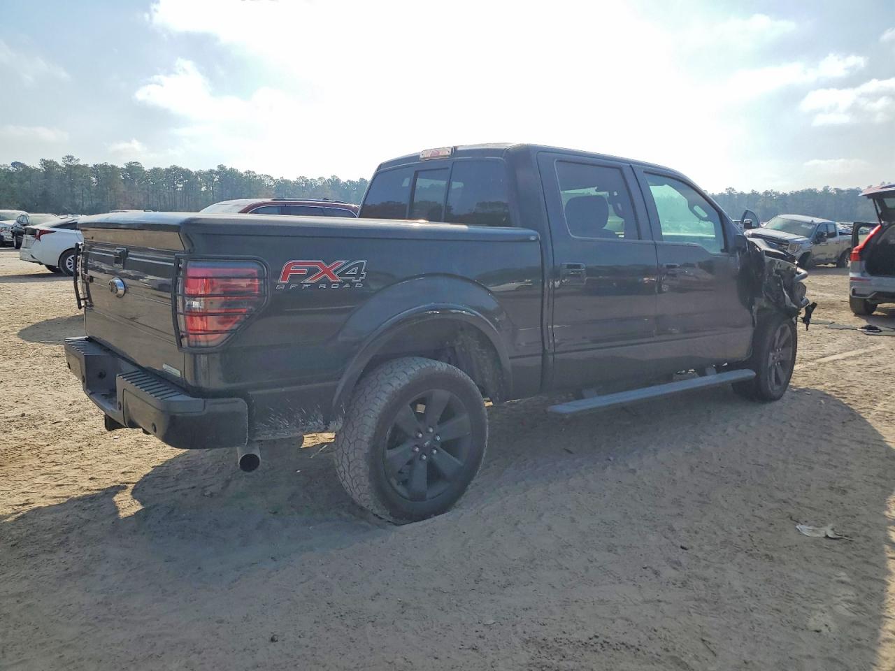 2013 FORD F150 SUPERCREW photo 3