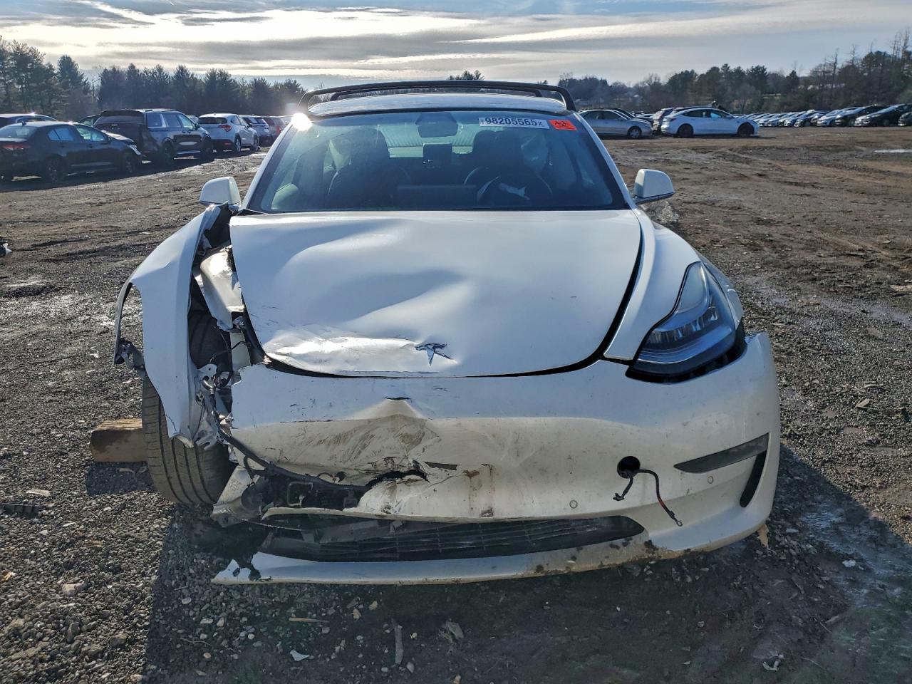 2019 TESLA MODEL 3 photo 5