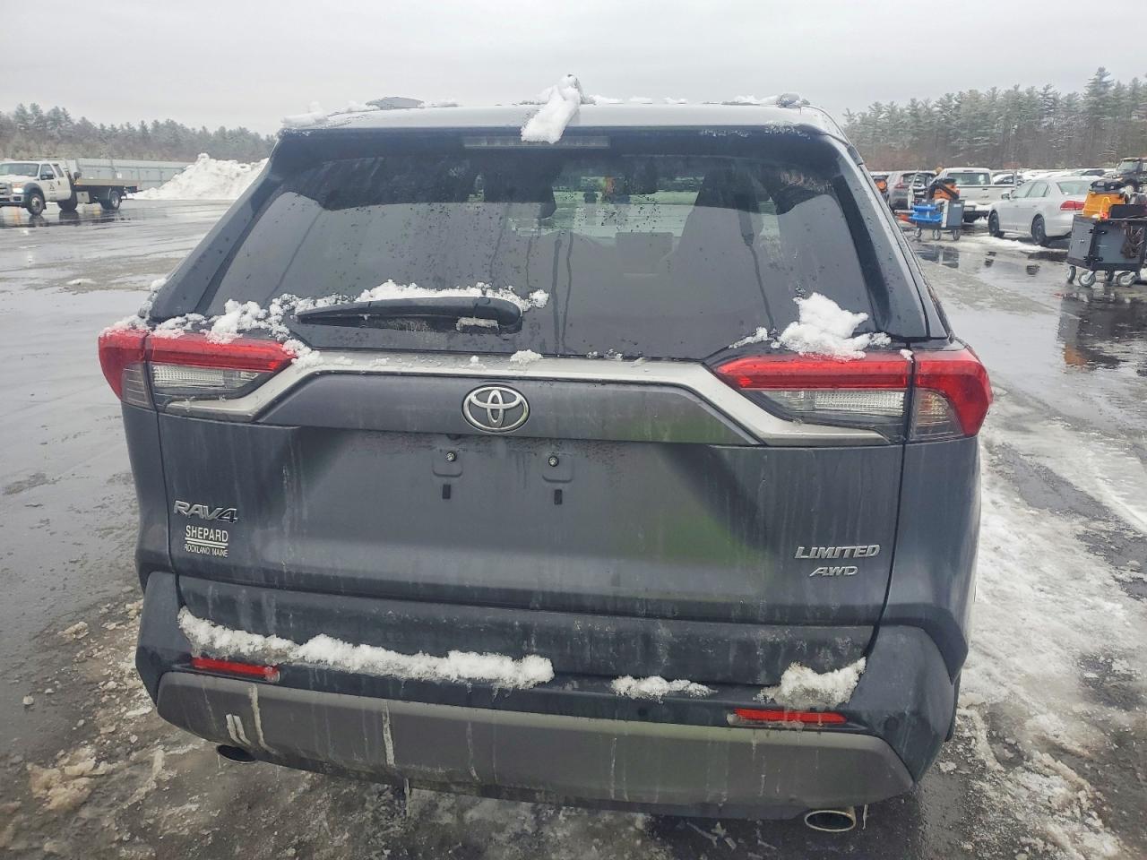 2019 TOYOTA RAV4 LIMITED photo 6