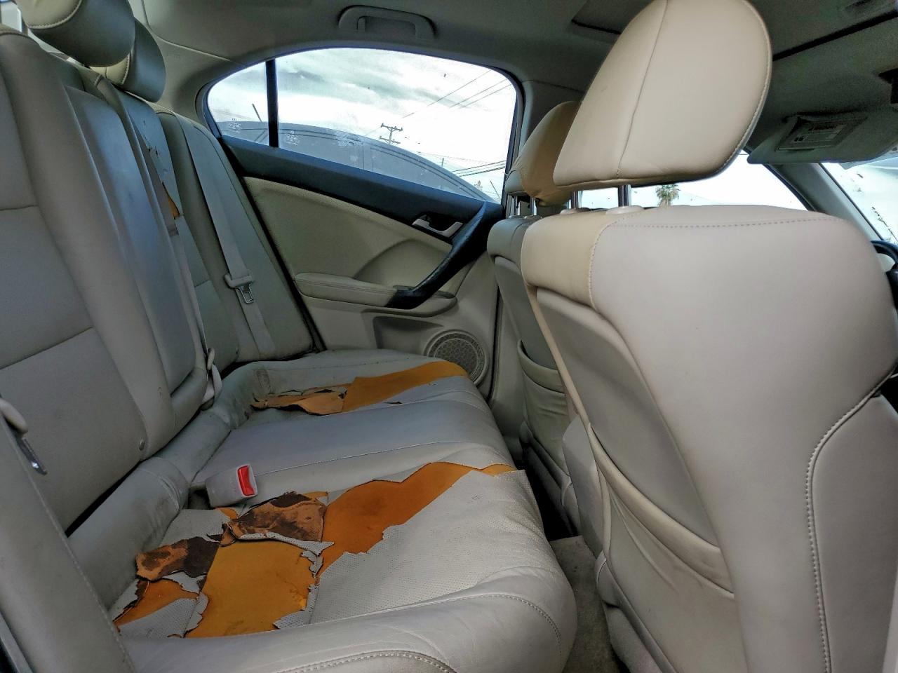 2010 ACURA TSX photo 10
