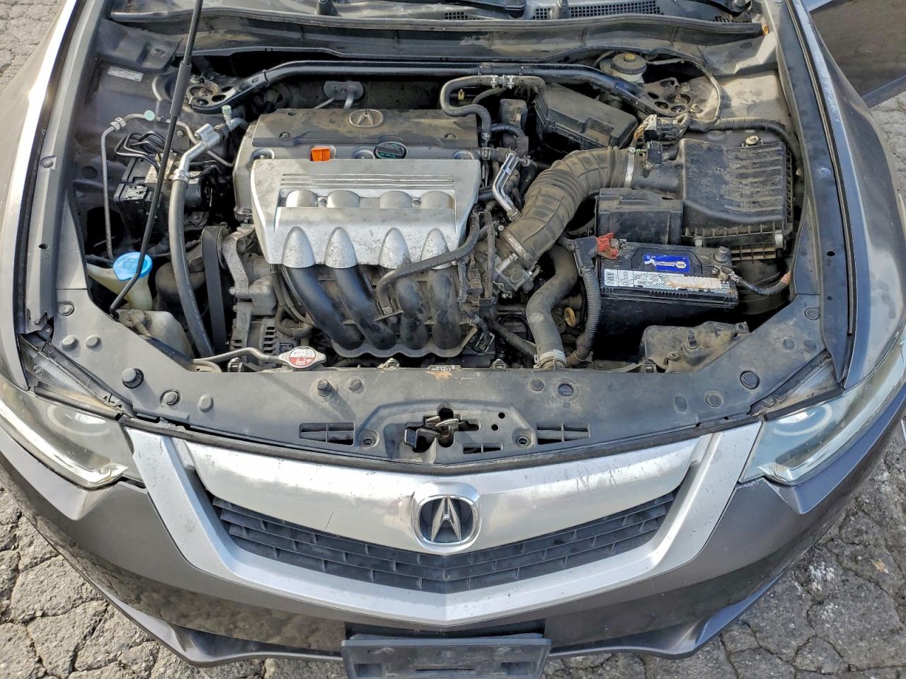 2010 ACURA TSX photo 11