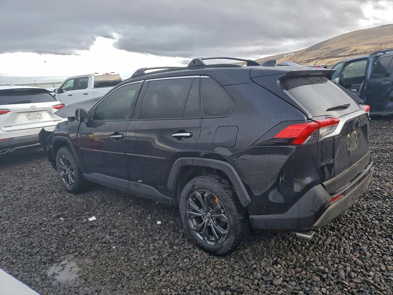 2024 TOYOTA RAV4 LIMITED photo 2