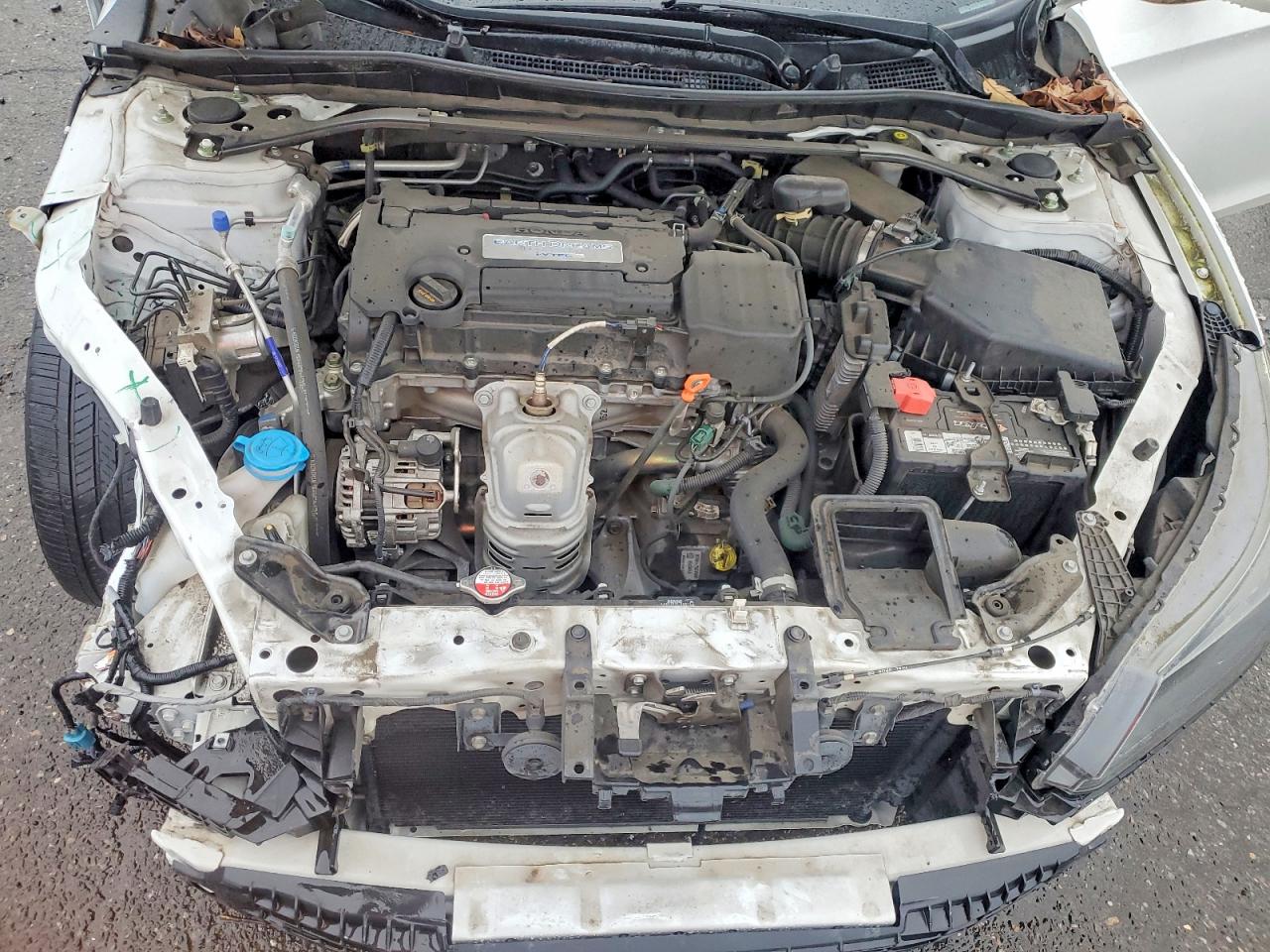 2014 HONDA ACCORD EXL photo 11