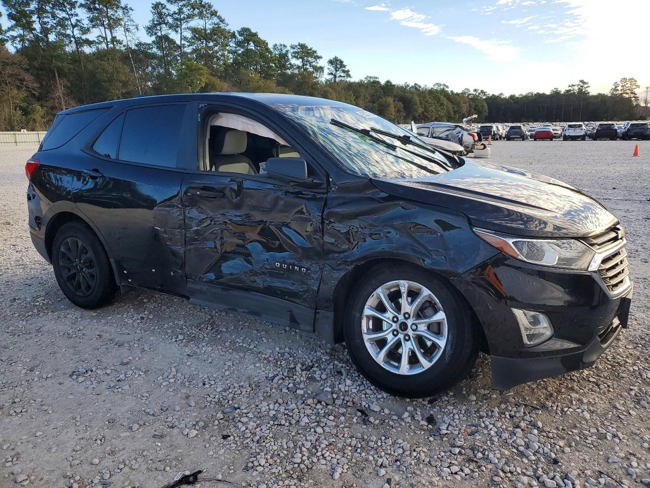 2020 CHEVROLET EQUINOX LS photo 4
