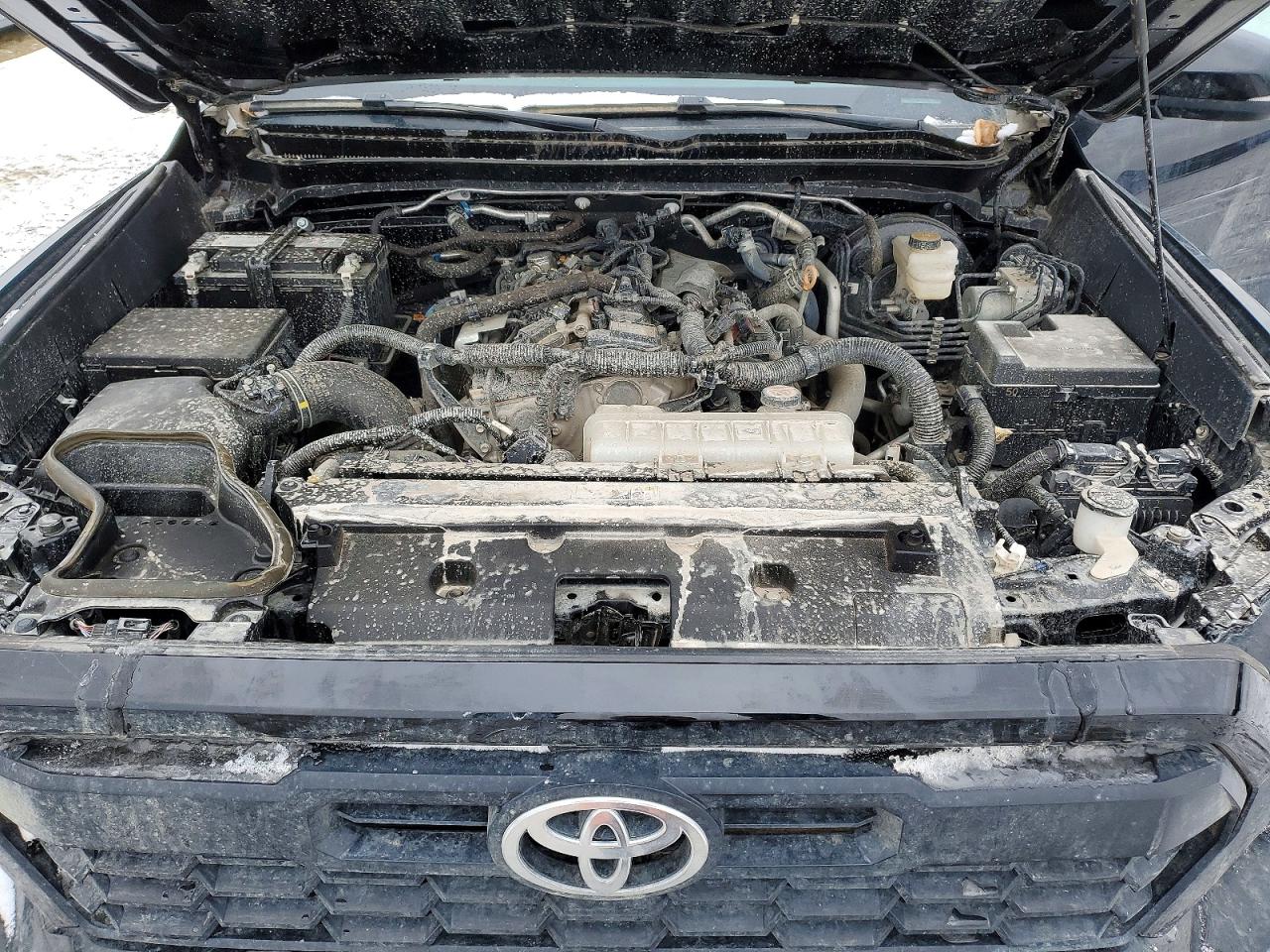 2024 TOYOTA TACOMA DOUBLE CAB photo 11