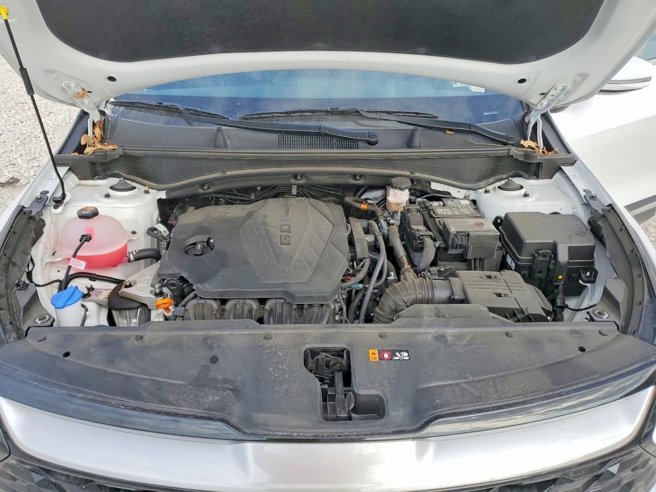2025 KIA SPORTAGE EX photo 12