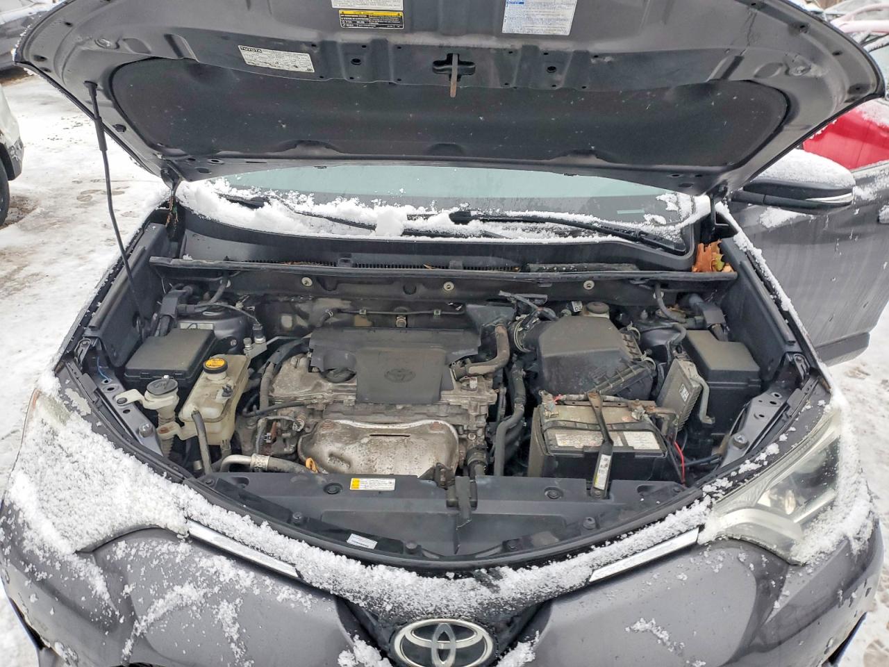 2017 TOYOTA RAV4 XLE photo 12
