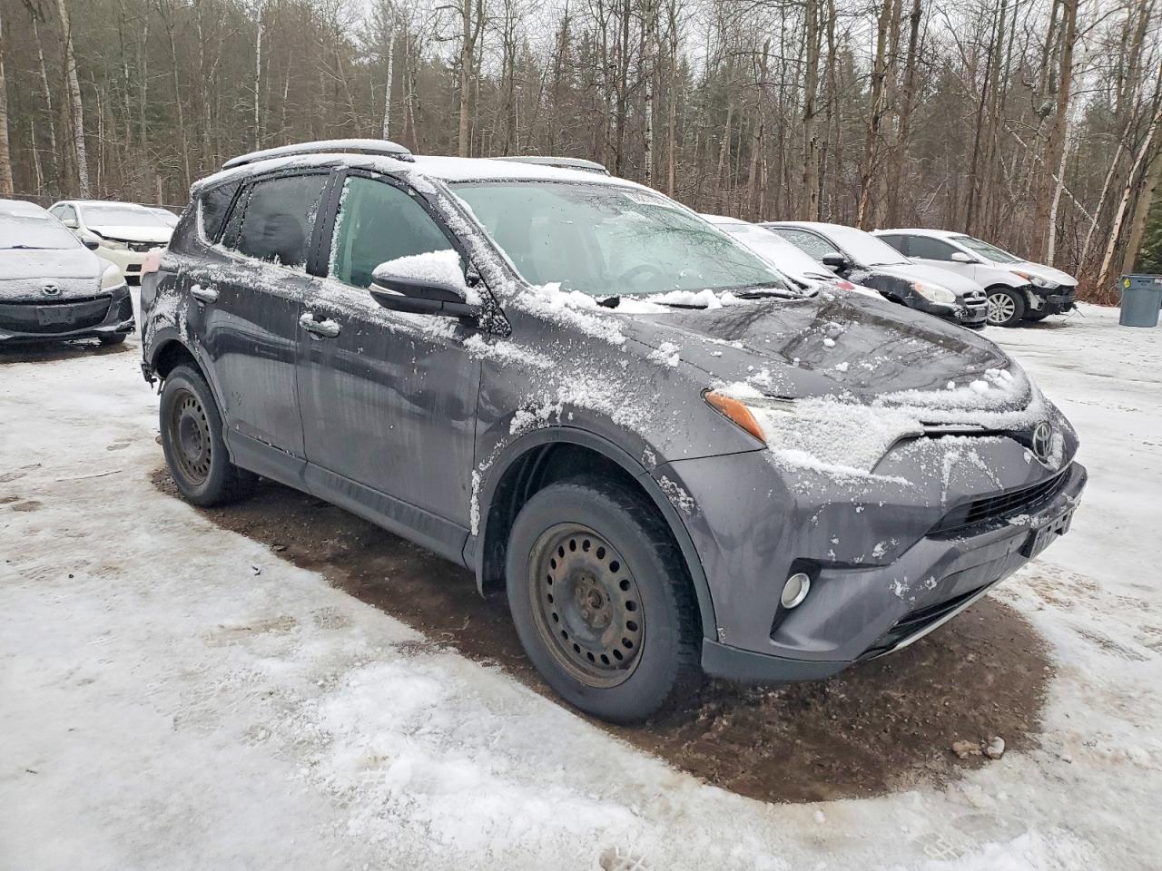 2017 TOYOTA RAV4 XLE photo 4