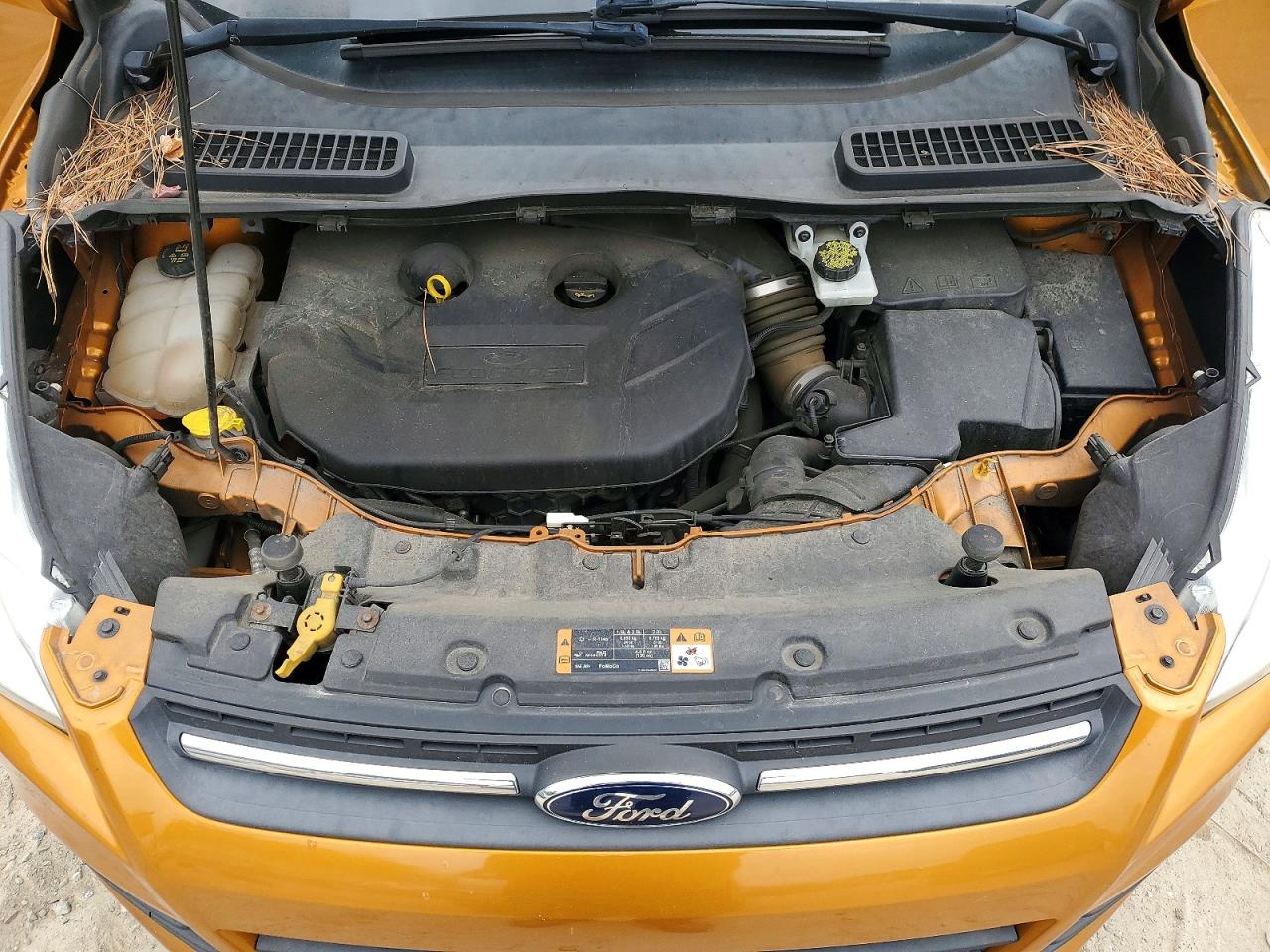 2016 FORD ESCAPE SE photo 12