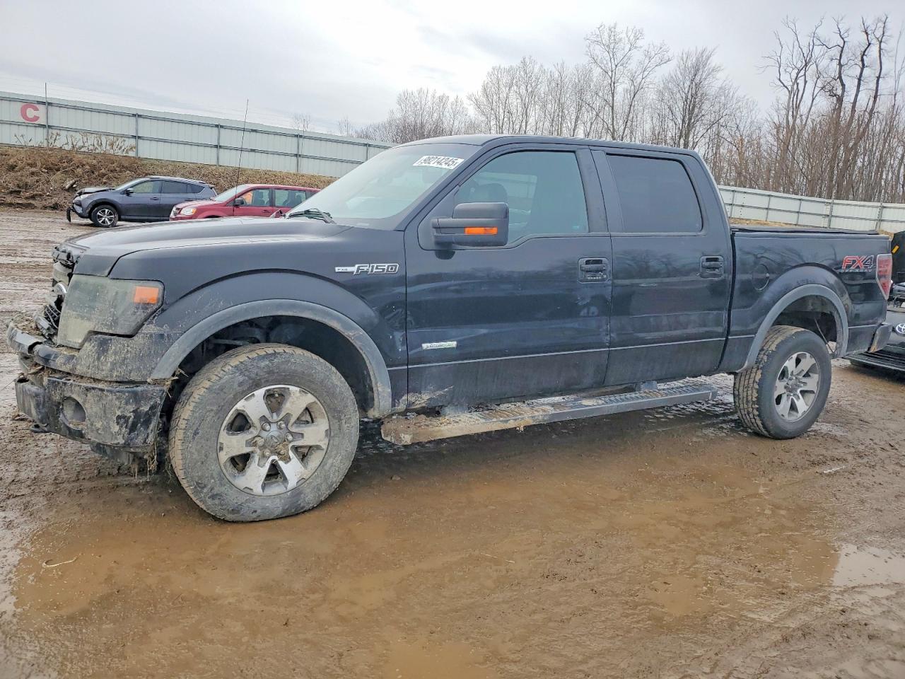 2013 FORD F150