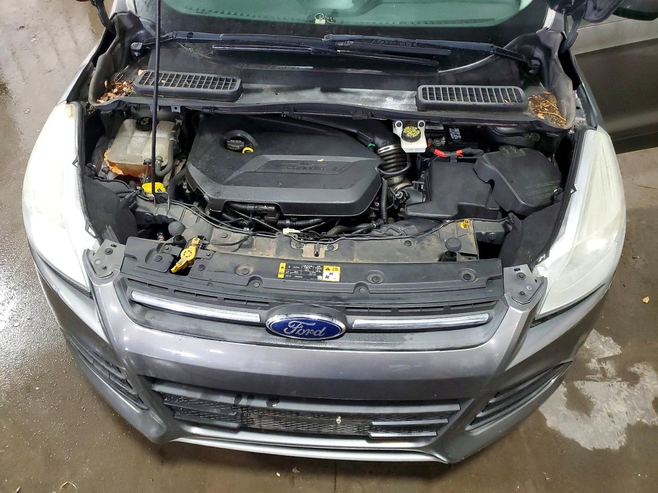 2014 FORD ESCAPE SE photo 12
