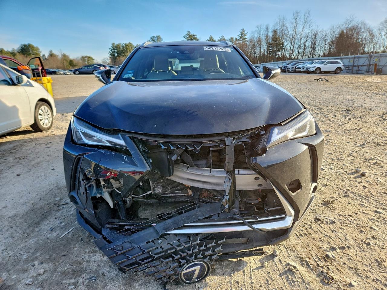 2019 LEXUS UX 250H photo 5
