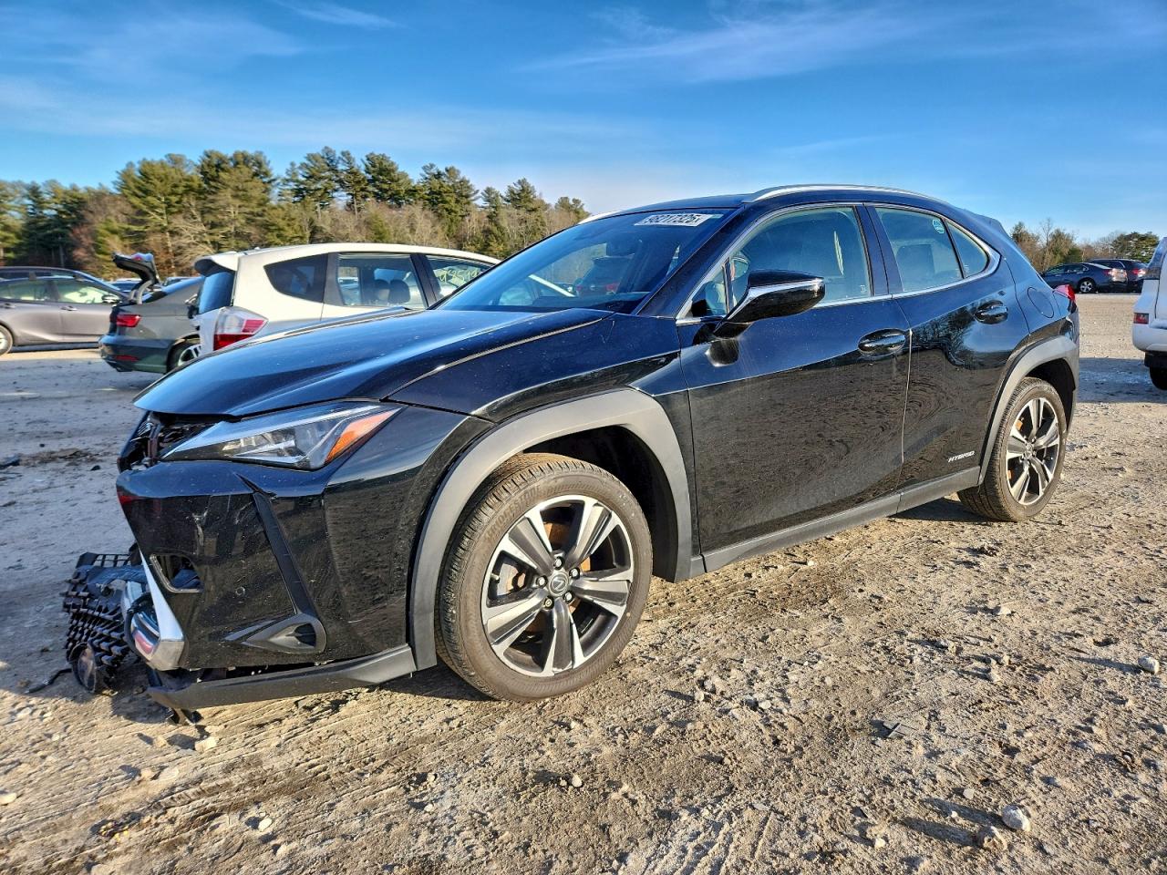 2019 LEXUS UX