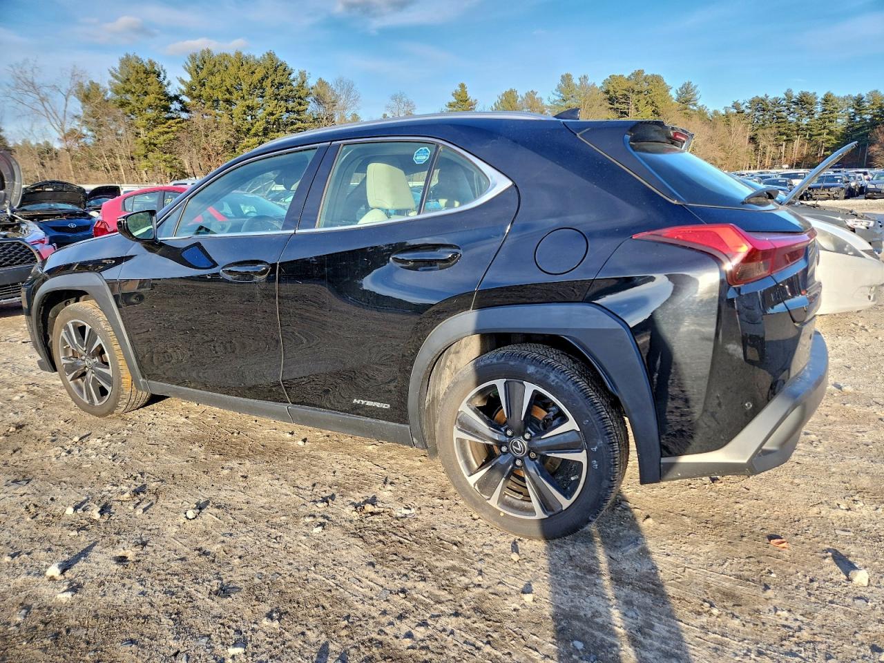 2019 LEXUS UX 250H photo 2