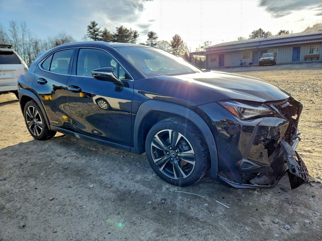 2019 LEXUS UX 250H photo 4