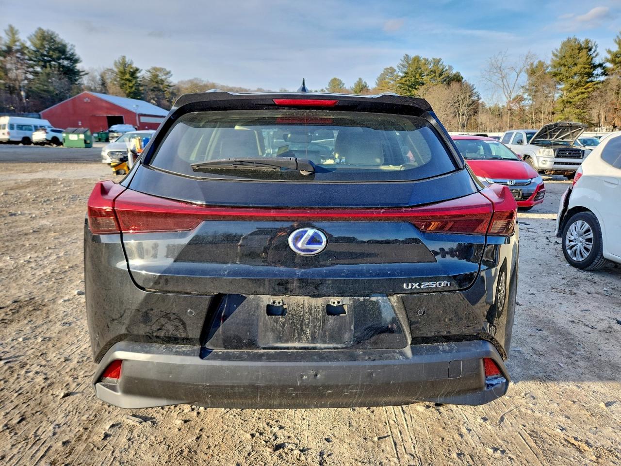 2019 LEXUS UX 250H photo 6