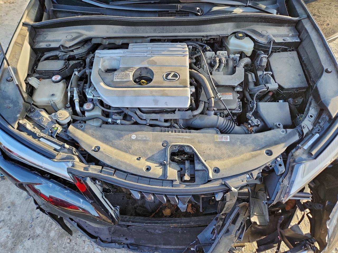 2019 LEXUS UX 250H photo 12