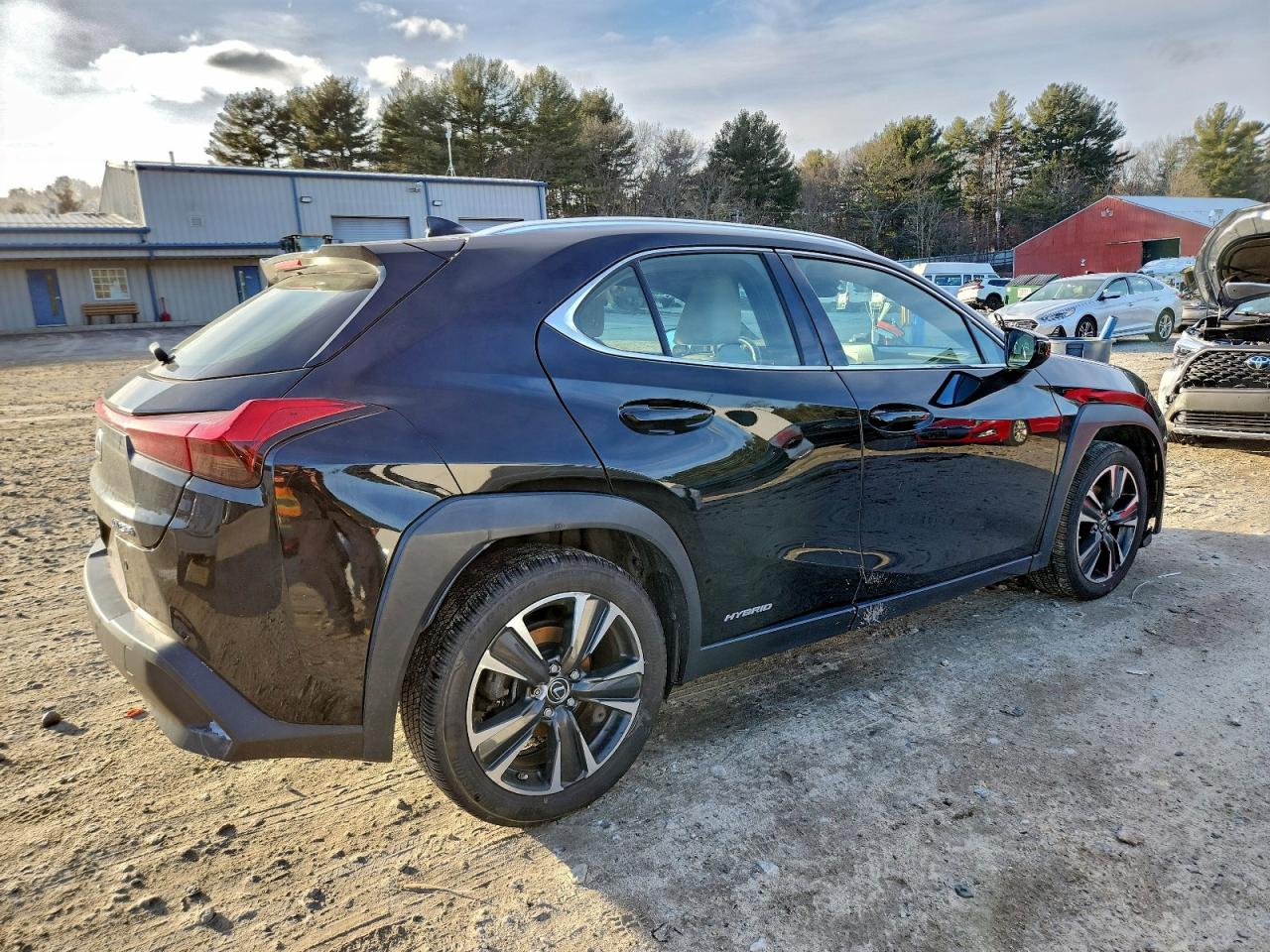 2019 LEXUS UX 250H photo 3