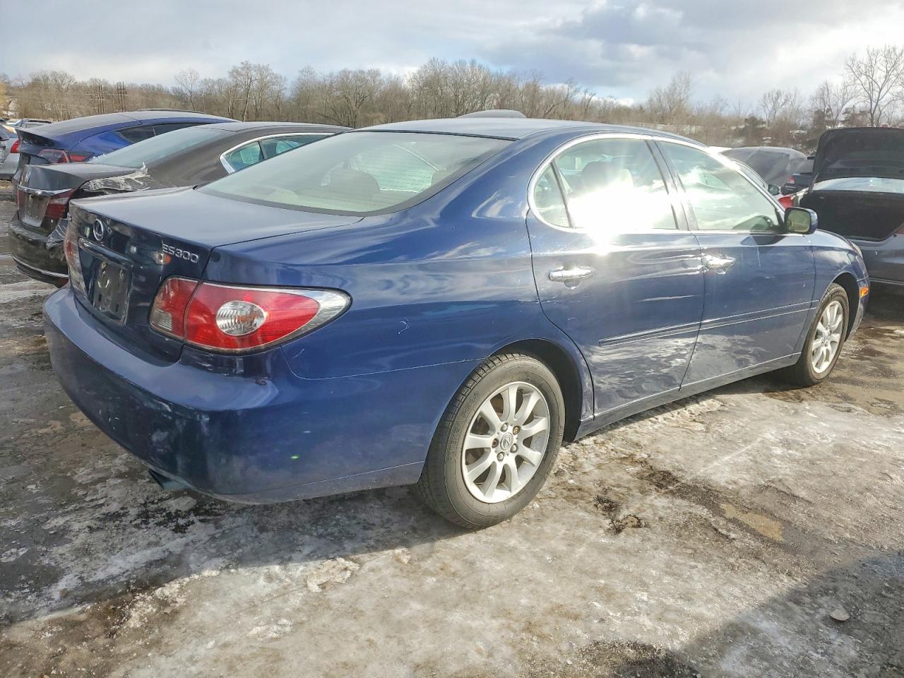 2003 LEXUS ES 300 photo 3