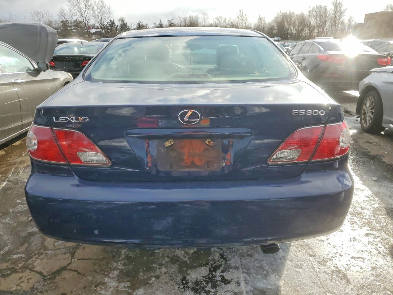 2003 LEXUS ES 300 photo 6