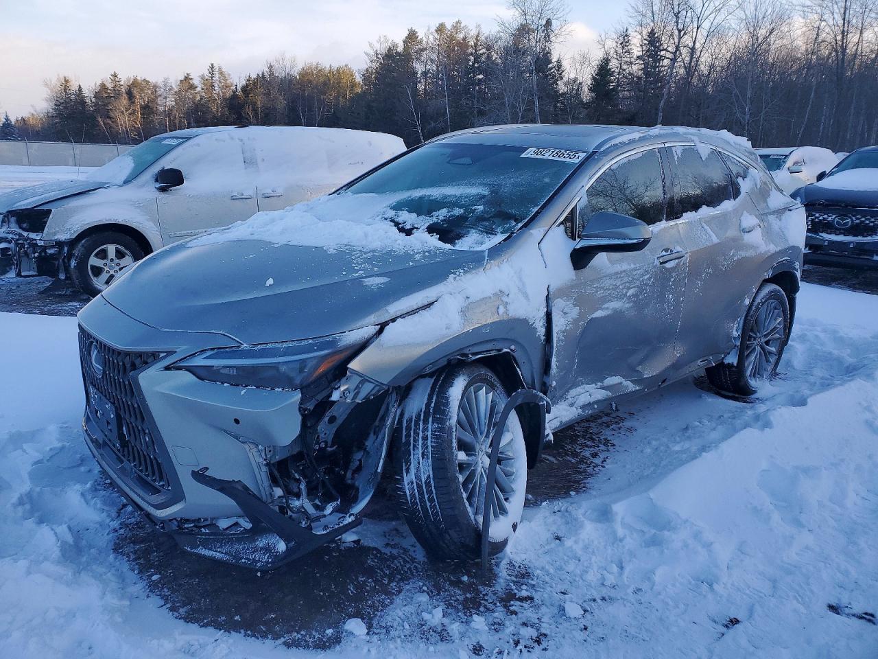 2024 LEXUS NX