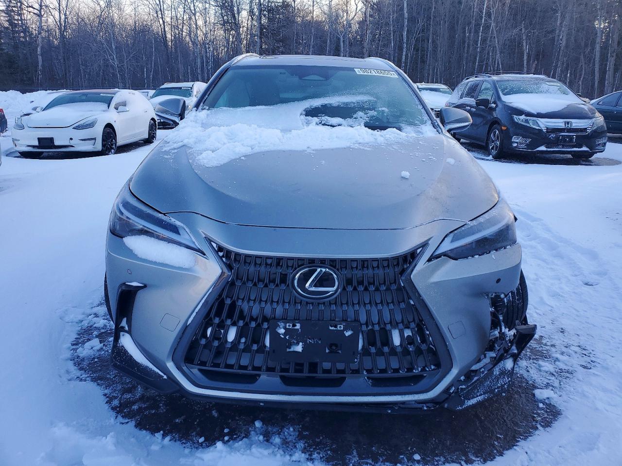 2024 LEXUS NX 350H BASE photo 9