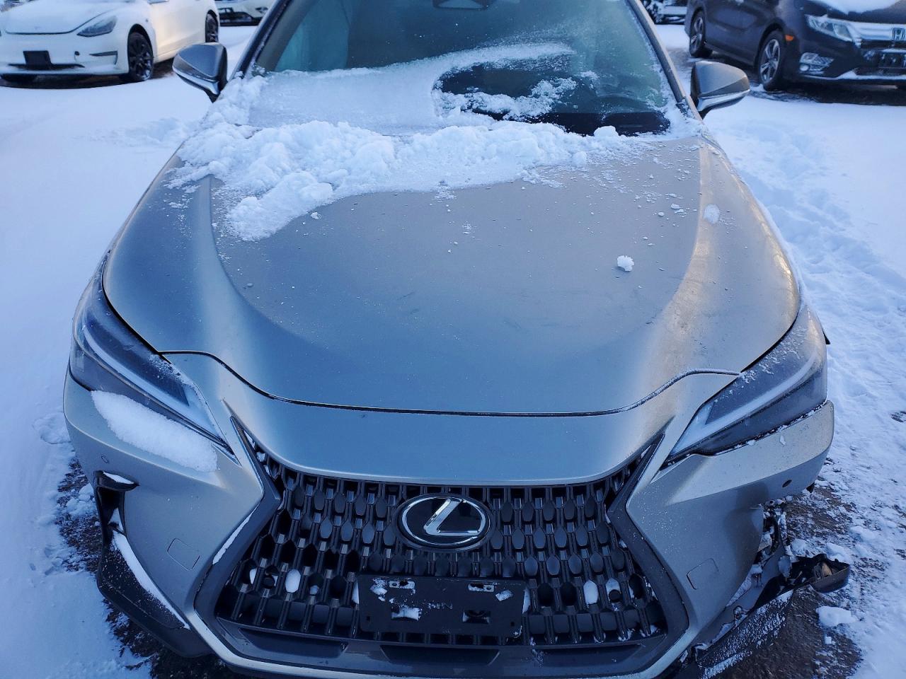 2024 LEXUS NX 350H BASE photo 23