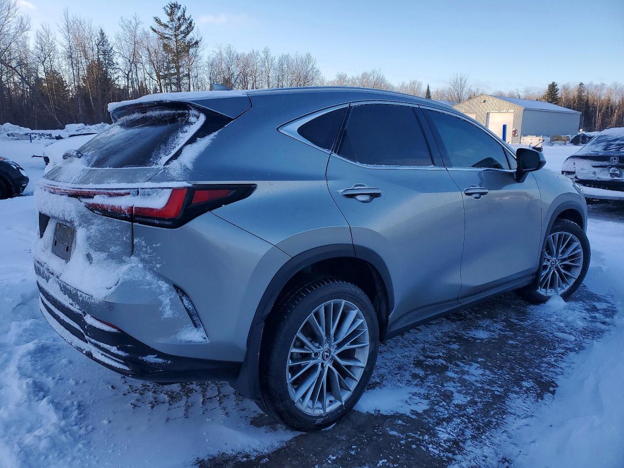 2024 LEXUS NX 350H BASE photo 5
