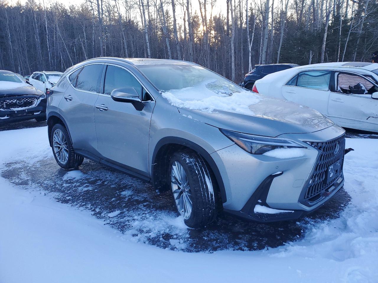2024 LEXUS NX 350H BASE photo 7