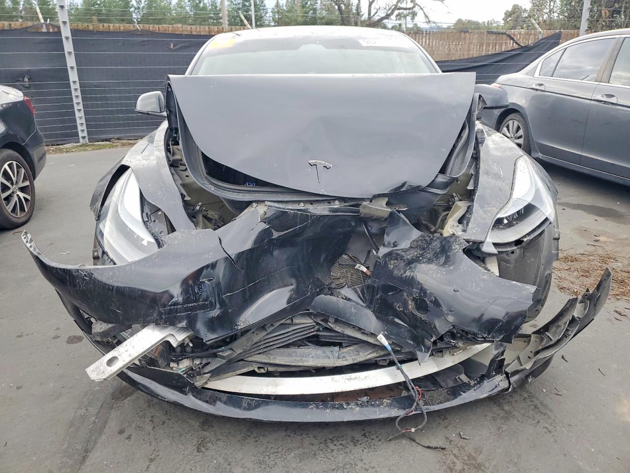 2023 TESLA MODEL 3 photo 5