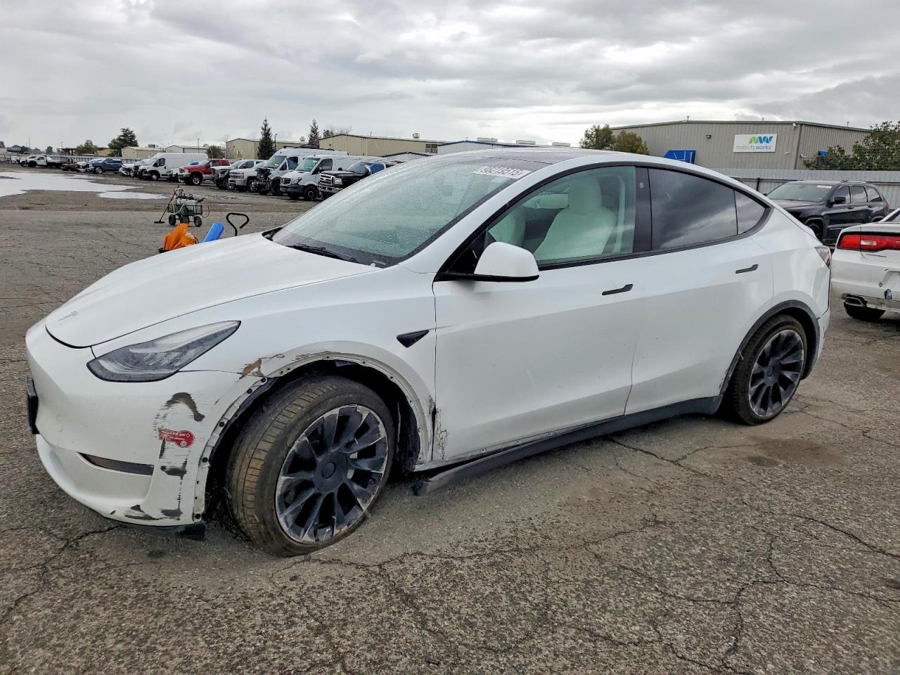 2021 TESLA MODEL Y