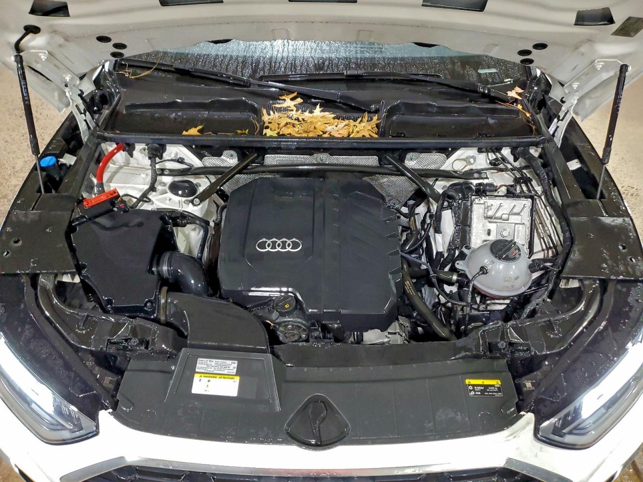 2023 AUDI Q5 PREMIUM PLUS 45 photo 12