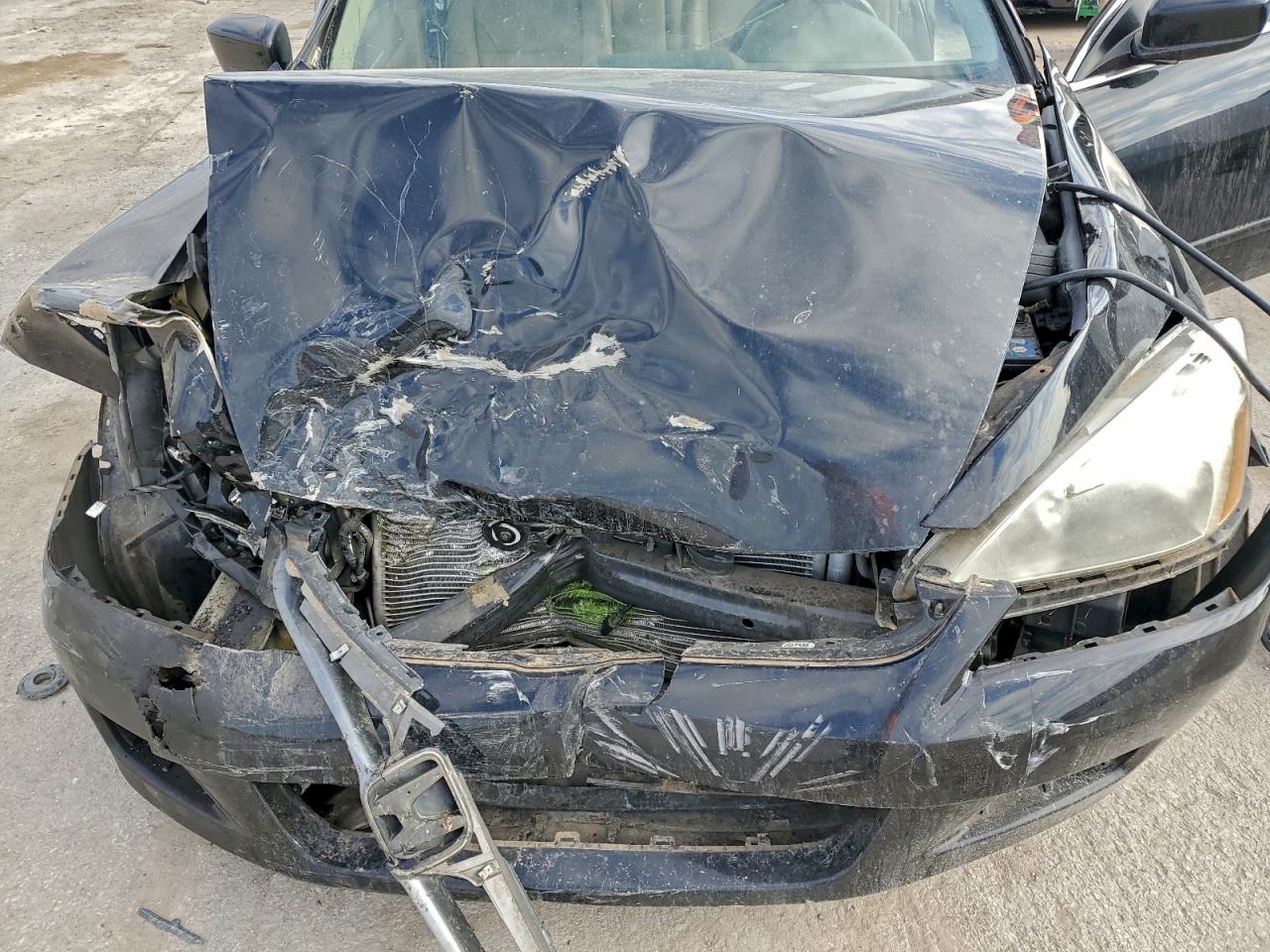 2007 HONDA ACCORD EX photo 11