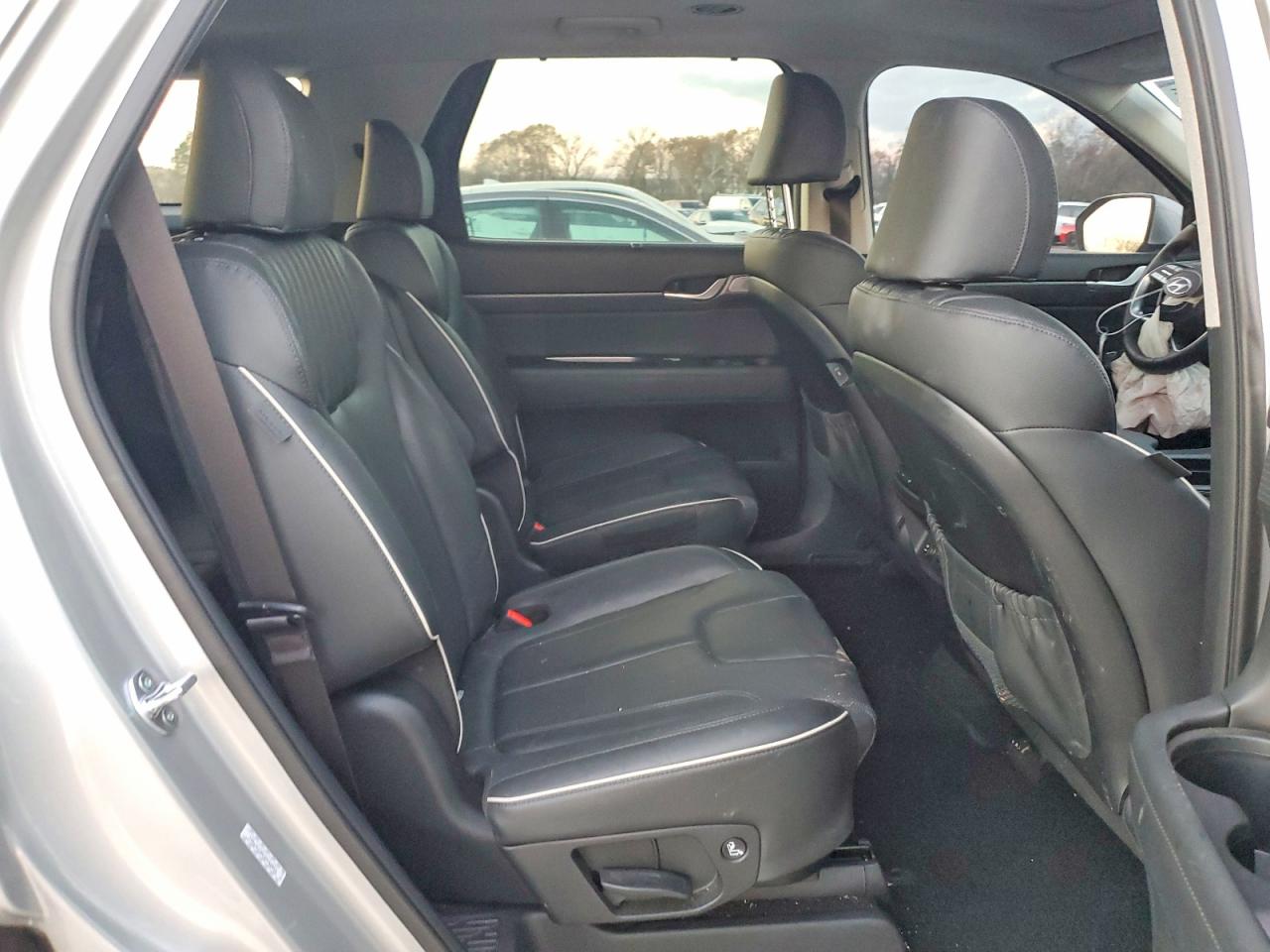 2024 HYUNDAI PALISADE LIMITED photo 21