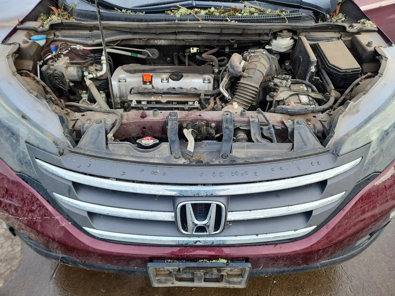 2013 HONDA CR-V EXL photo 11
