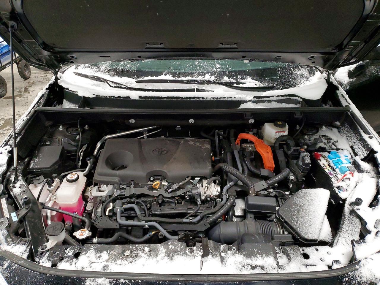 2024 TOYOTA RAV4 XLE photo 12