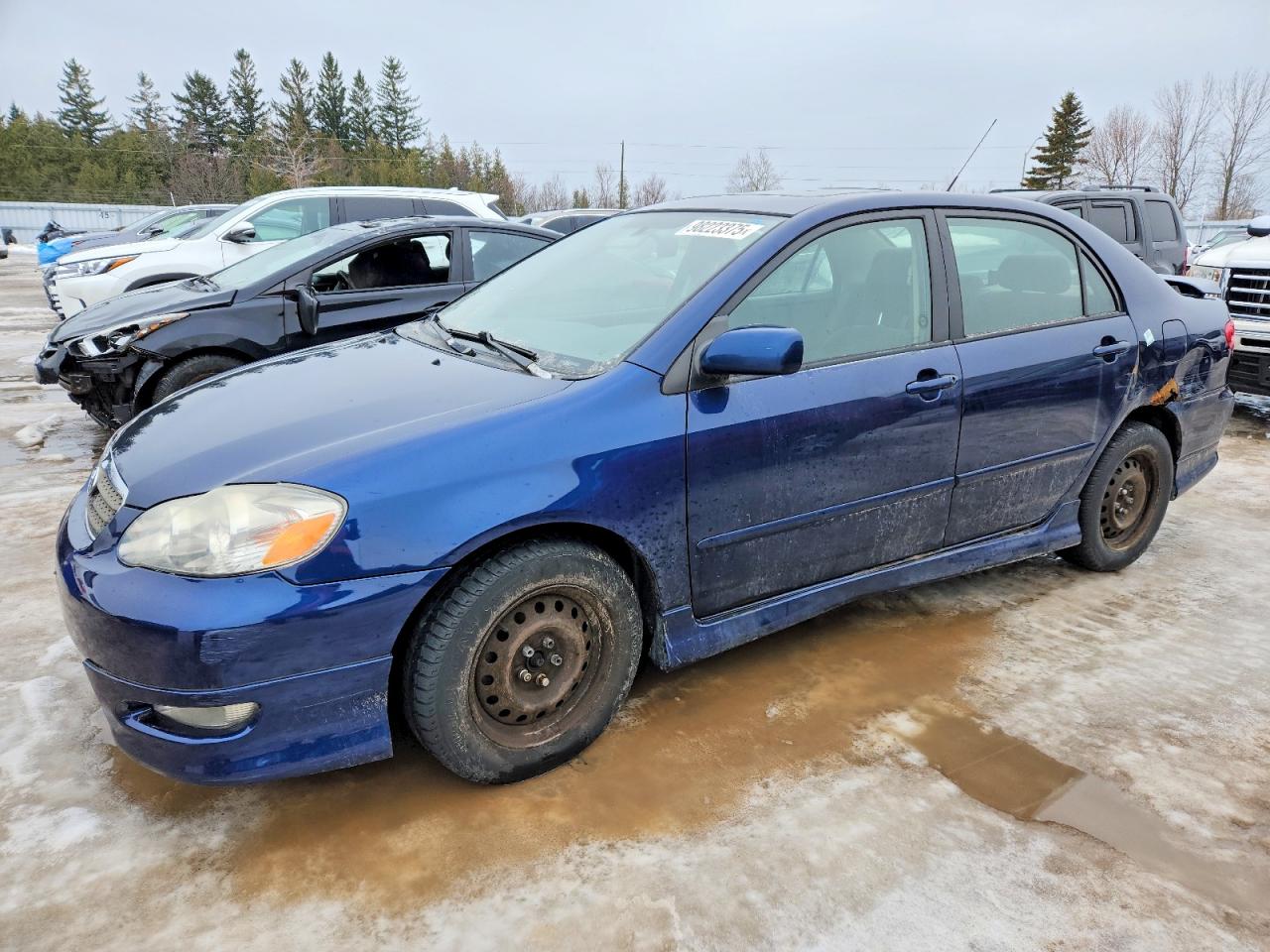 2006 TOYOTA COROLLA
