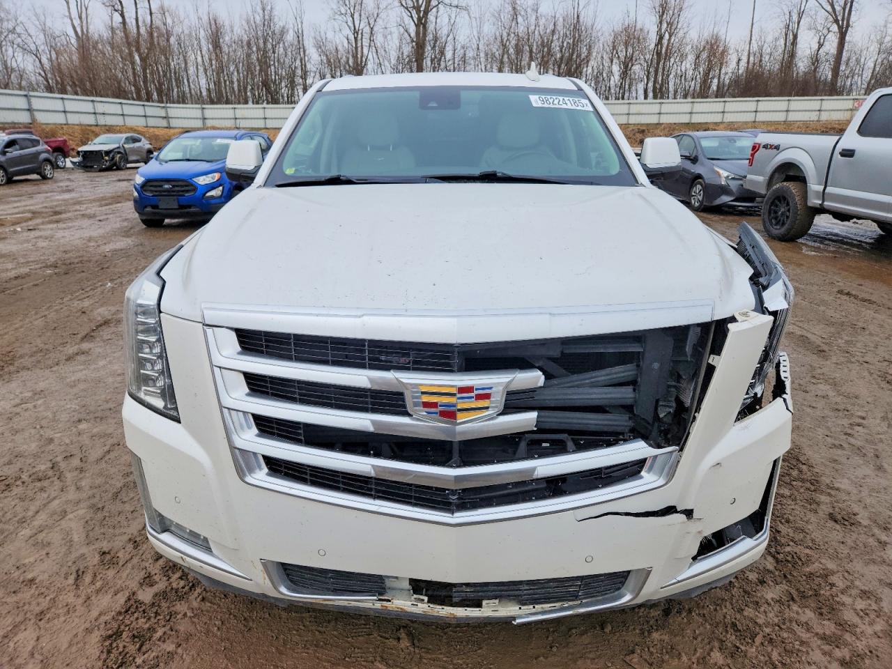 2016 CADILLAC ESCALADE ESV LUXURY photo 13