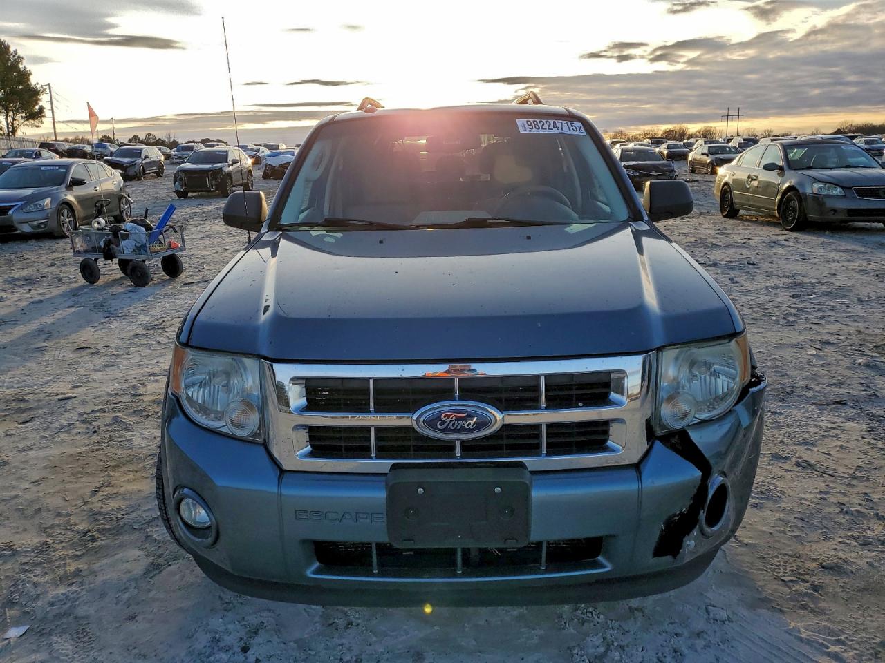2010 FORD ESCAPE XLT photo 5