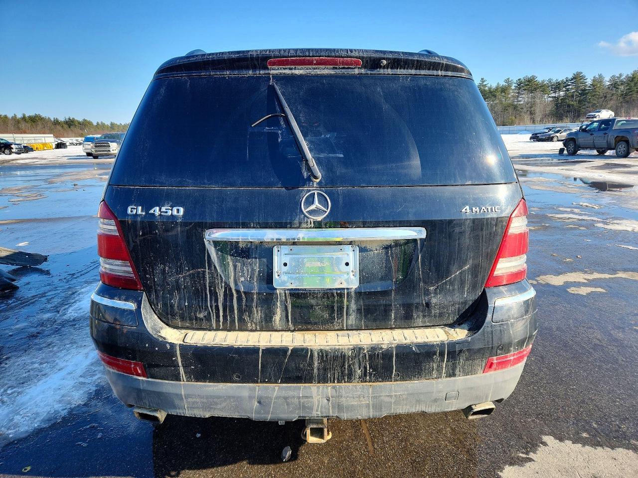 2008 MERCEDES-BENZ GL 450 4MATIC photo 6